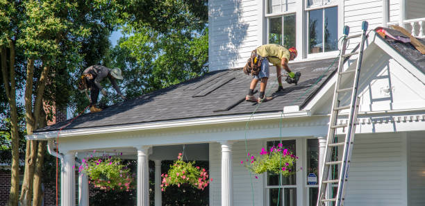 Best Roof Gutter Cleaning  in San Andreas, CA
